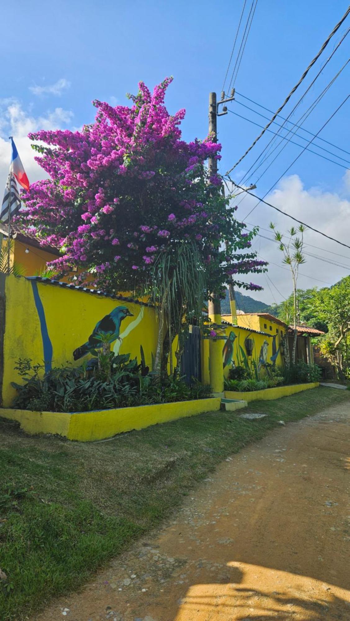 Casa Dos Franceses Ilha Grande Villa Eksteriør bilde