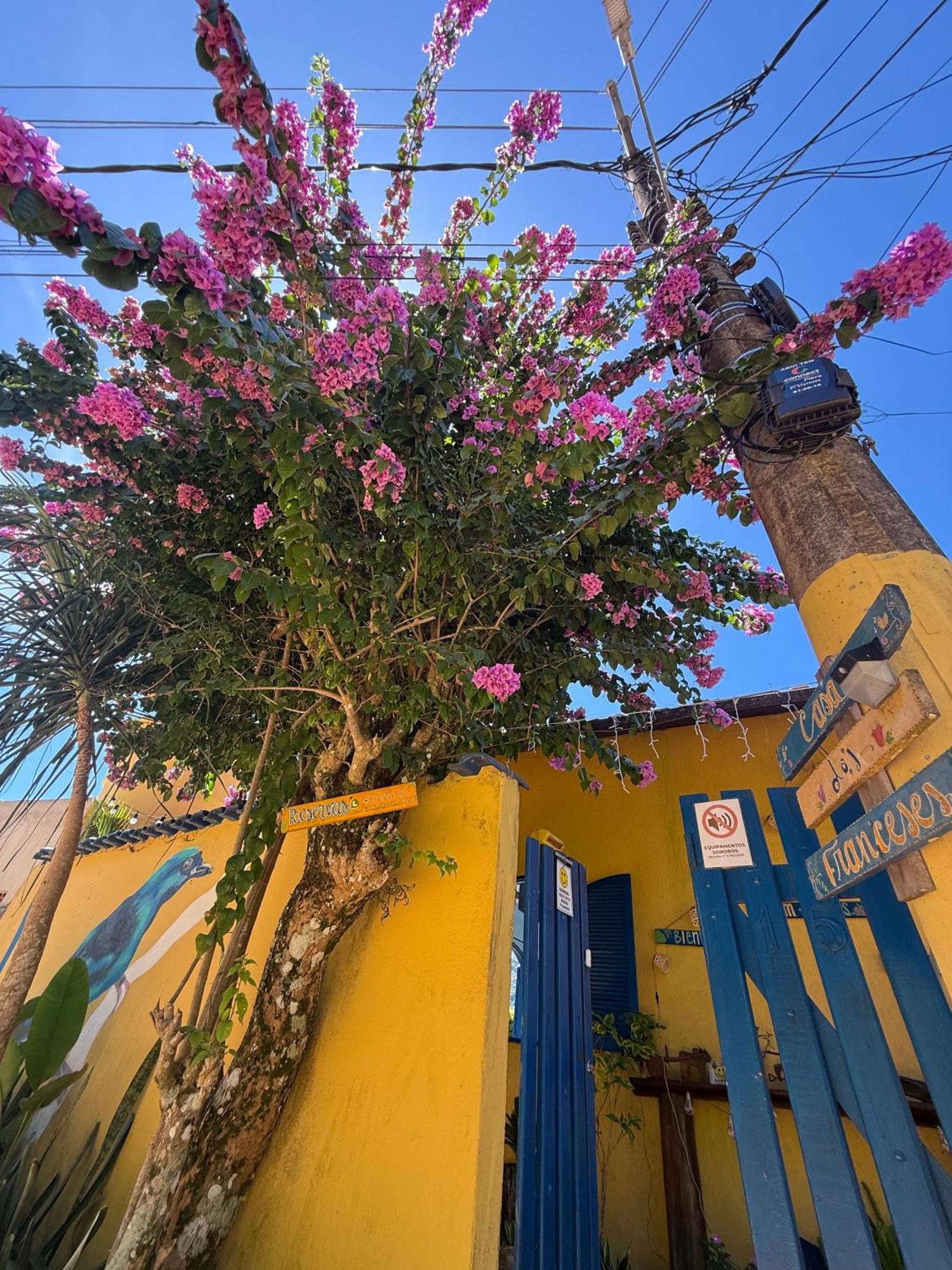 Casa Dos Franceses Ilha Grande Villa Eksteriør bilde