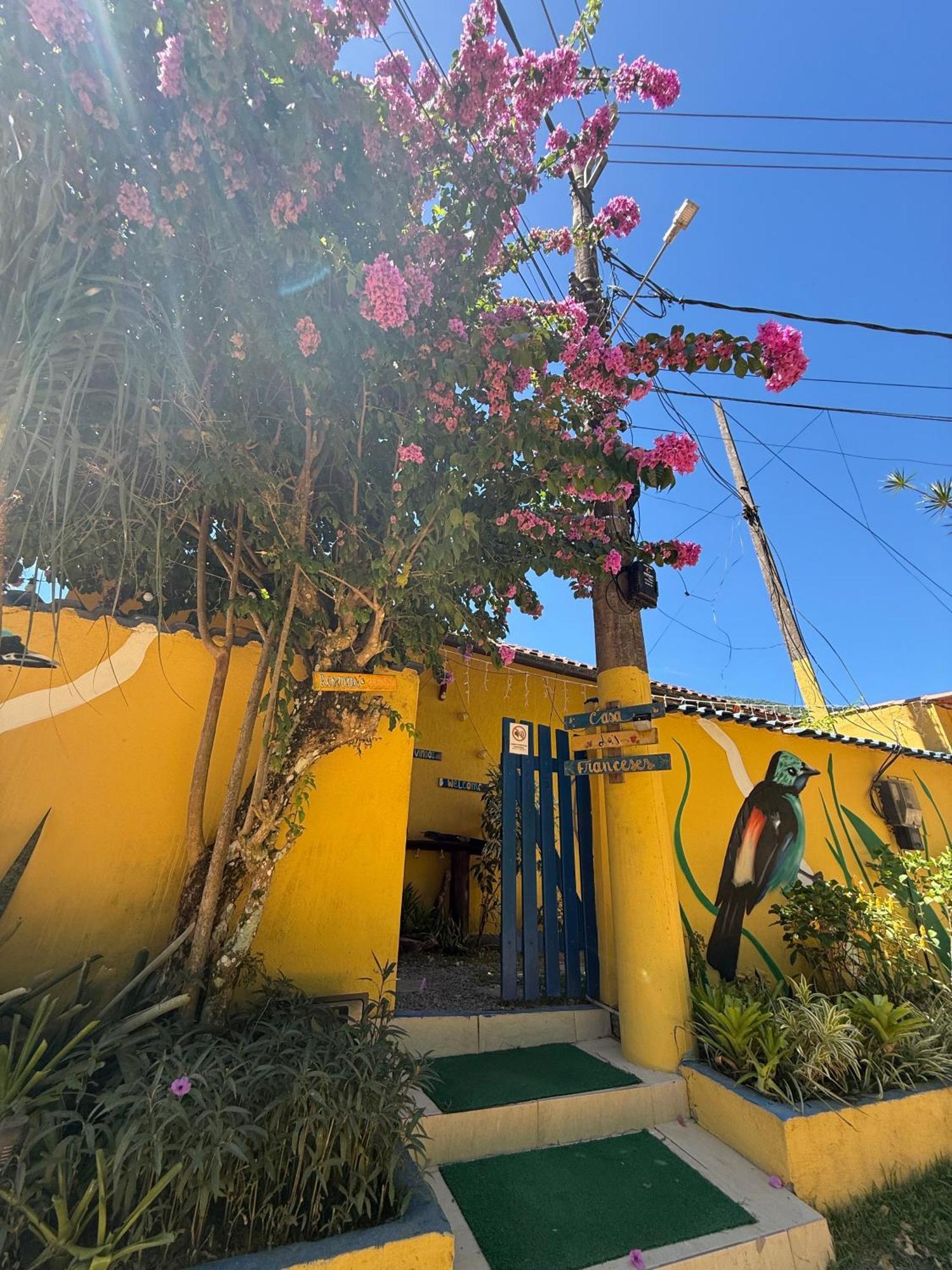 Casa Dos Franceses Ilha Grande Villa Eksteriør bilde